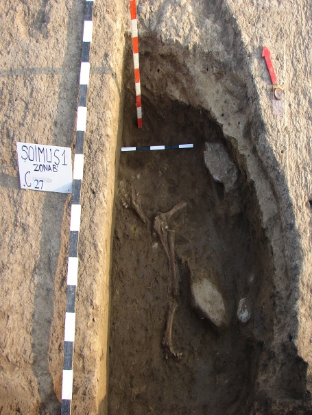 S-a încheiat analiza arheozoologică a materialului osteologic provenit din cercetarea arheologică preventivă din situl Șoimuș - Teleghi, sector B, din cadrul proiectului ”Autostrada 2011”