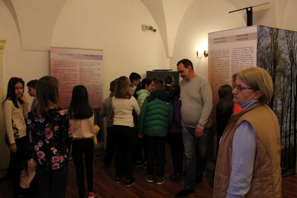 img-75599EB73A1F-0D06-9C9C-EDB5-781768F8F9D1.jpg
