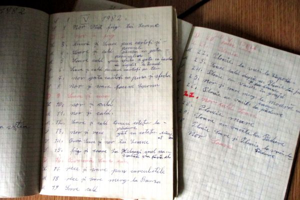 02-pagina-din-jurnalul-lui-gorcea-marcu-02F323065C-A99A-7250-A5F9-DE6BC5B71A01.jpg