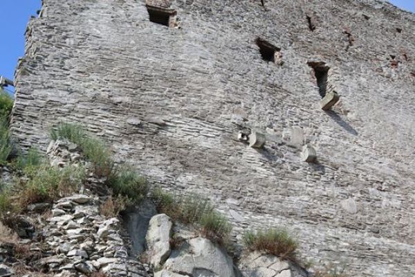 imgcetateadeva-112FF74E6D-FB36-06FD-4653-EC2FD6869B6F.jpg