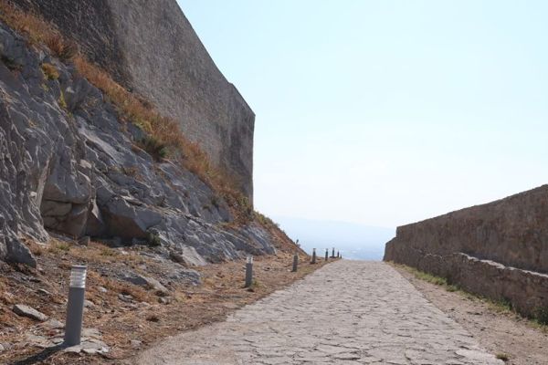 imgcetateadeva-4CFFB597D-6C2D-F4A9-4A65-FF7C846E0C66.jpg