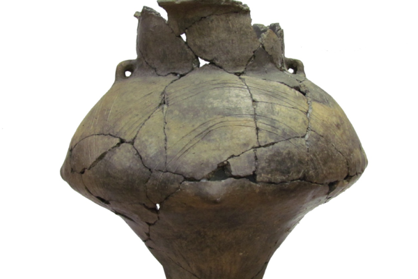 vas-in-timpul-restaurarii91874CAC-E5FA-77C8-C951-428FEF19FA84.png
