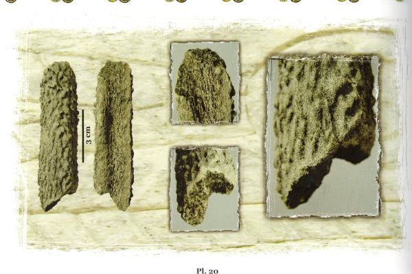 artefacte-os-corn-2F1ED3043-9C8D-C2CC-1CB5-E643C73BC2F1.jpg