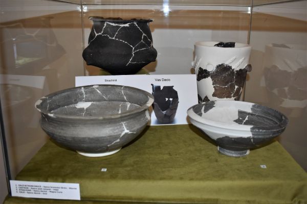 v04-21A48ACF2-C8B5-0EF8-77DA-DD201B9E0051.jpg