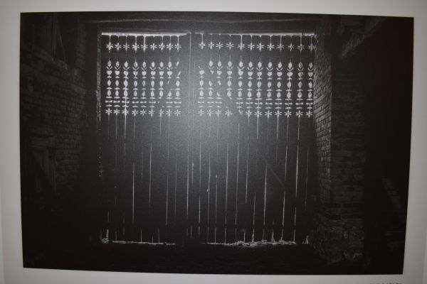 60DAA1ABE-5773-2B77-0592-F060B37CD11C.jpg