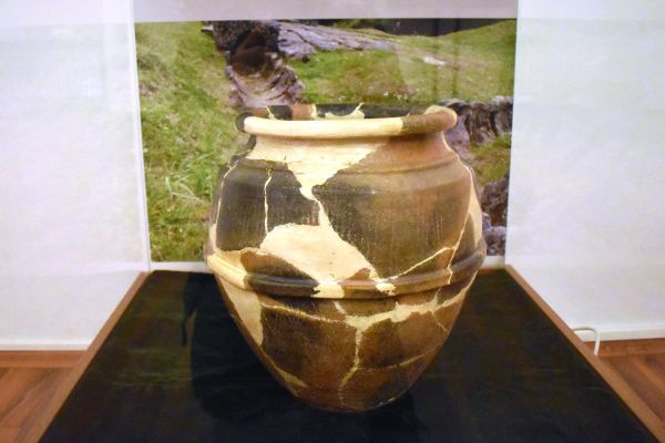 mcdr-expozitia-productia-ceramica-in-muntii-orastiei-742DC187A-5D5A-91EC-F2E3-7705E7579F91.jpg