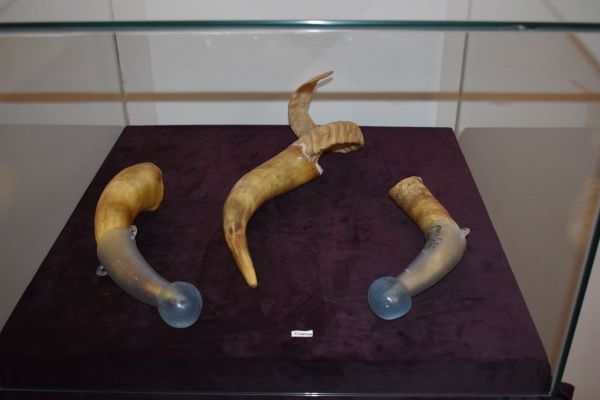 mcdr-expozitie-fluturi-cu-soare-de-christian-paraschiv-40C7858BC2-14E6-511E-4E6C-791163DBFA73.jpg