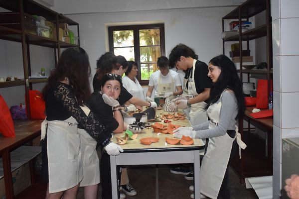 scoala-de-vara-restaurare-2023-ziua1-87FBD6AE32-7126-66CA-EEF5-1E133869FC1A.jpg