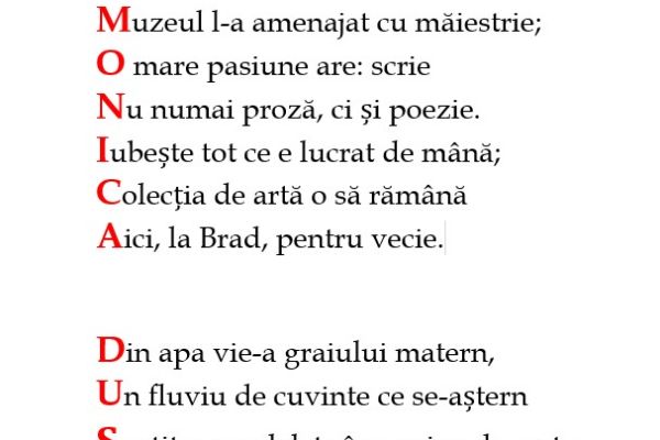 sursa-fb-gdeju-127DD33D7A-34C1-FF80-E451-B960366D676C.jpg