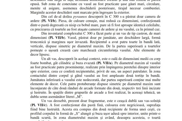 041-080-riscuta-marc-0050EE22112-F6DF-72D9-3C89-A99315CDEB10.jpg