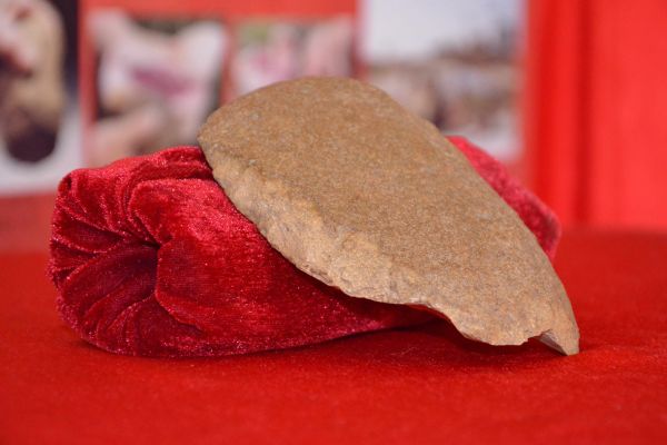toporas-paleolitic-31-martie-2017-886FD91FE-1A74-3899-A7BF-7F1798C63064.jpg
