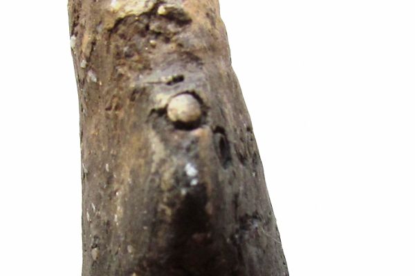 statu-04a9630AE2F-53D0-8875-5C12-327C4596B846.jpg