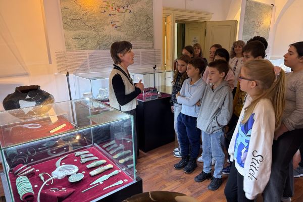 atelier-pedagogie-muzeala-20261020-757582E41-CAF8-C44E-ABC4-0DBCE769C4BD.jpg
