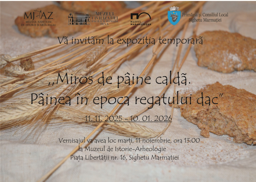 Expo_Paine_la_Sighet